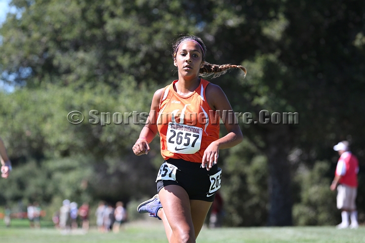 2015SIxcHSD2-246.JPG - 2015 Stanford Cross Country Invitational, September 26, Stanford Golf Course, Stanford, California.